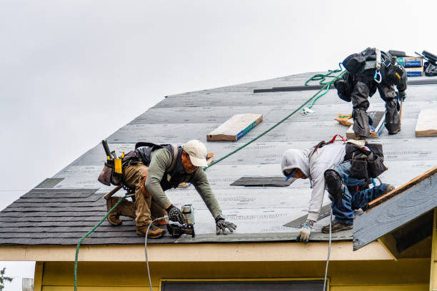 Professional Roof Installation technician working in Crittenden, NY